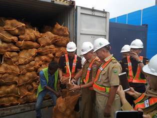 Pengembalian Ekspor Kelapa Bukan Masalah Kualitas