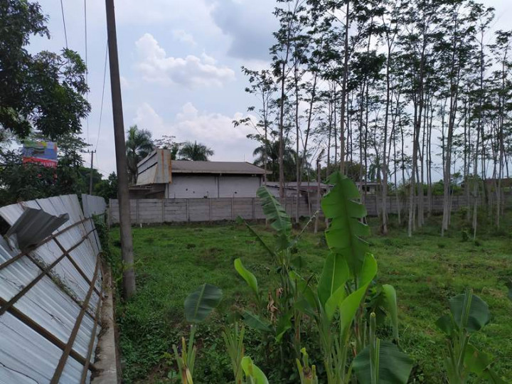 Penanaman Modal Asing di Kabupaten Malang Terhambat Perda