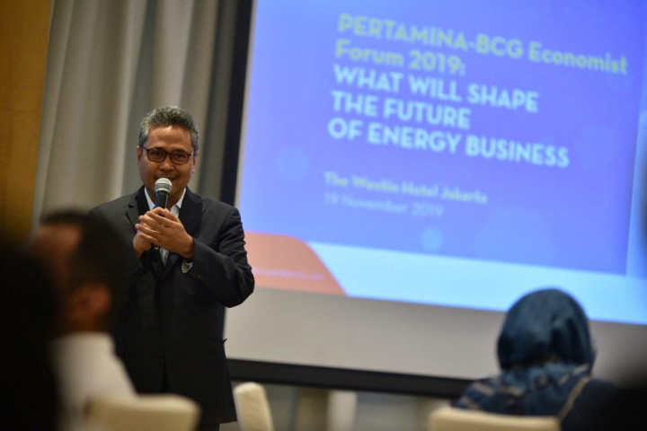 Ekonom Waspadai Transisi Masif di Sektor Energi