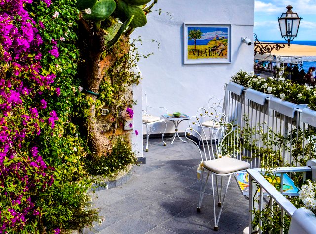 Meningkatkan Kesuburan Tanaman Hias dengan Bahan dari Dapur