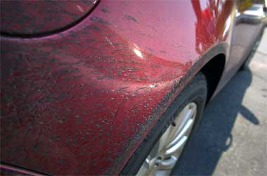 Noda Aspal dan Serangga Menempel di Mobil? Begini Solusinya