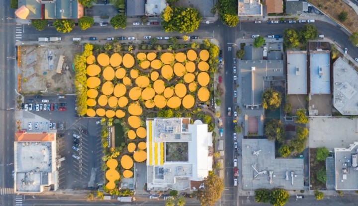 holLA, Ruang Perkantoran Unik Berwarna Kuning