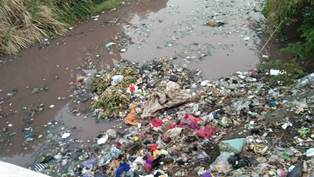 Sungai 'Pink' Diduga Akibat Limbah Pengawet Ikan