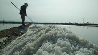 Garam Petani di Cirebon Tak Laku