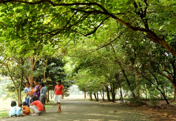 Hutan Kota sebagai Keberlanjutan Lingkungan