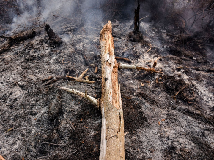 12.901 Hektare Lahan di Pegunungan Kendeng Rusak
