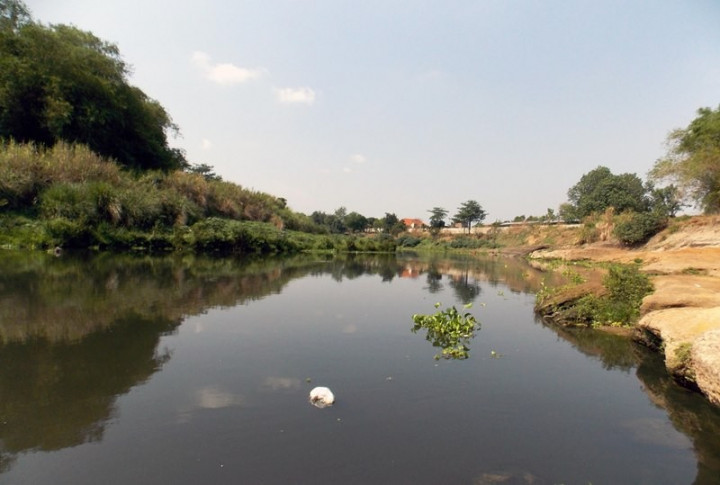 Tiga Daerah di Jatim Terdampak Pencemaran Sungai Bengawan Solo