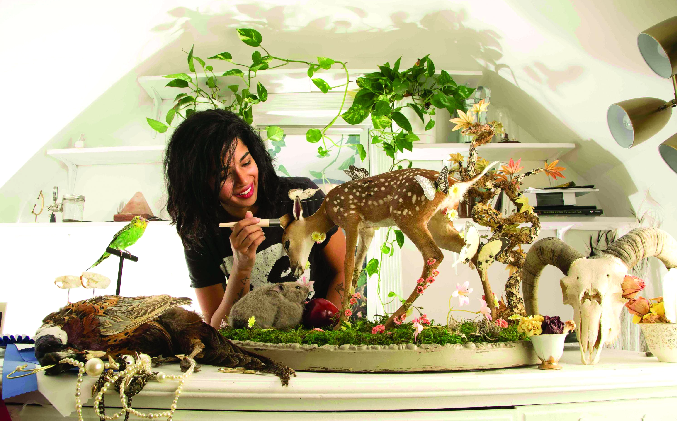 Seni Menghidupkan Hewan dengan Teknik Taxidermy