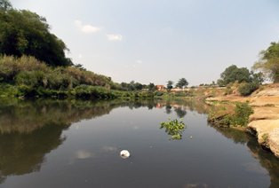 Pencemaran Sungai Bengawan Solo Tak Sampai ke Jatim