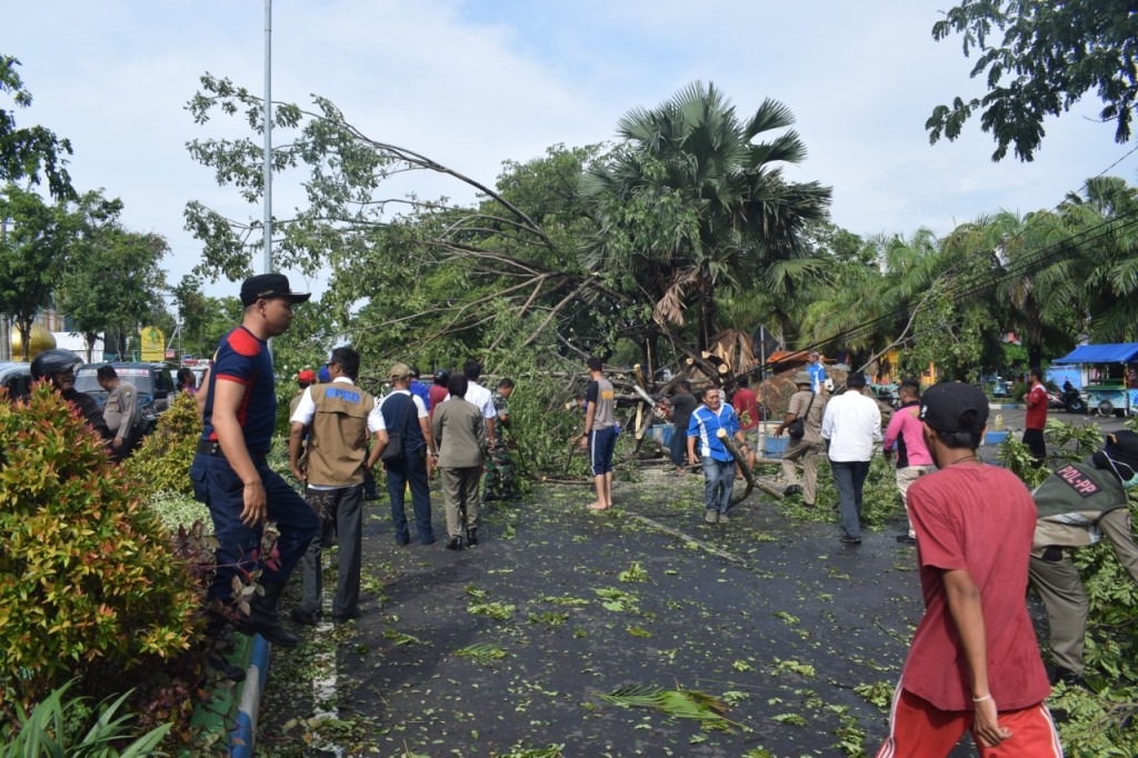 Tim Reaksi Cepat BPBD Bangkalan mengevakuasi pohon tumbang. (Foto: Istimewa/BPBD Bangkalan)