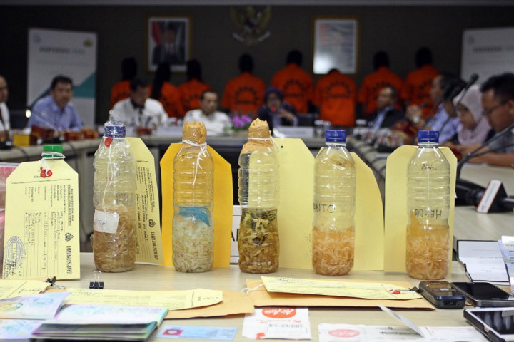 Soal Benih Lobster, Menteri KKP Ingin Tiru Vietnam