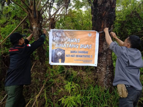 Bksda Sumsel Pasang Peringatan Binatang Buas Medcom Id