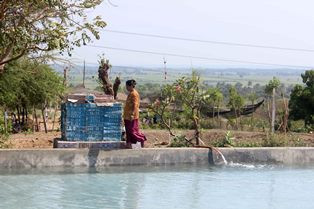 Ribuan BUMDes di Jatim Tak Beroperasi