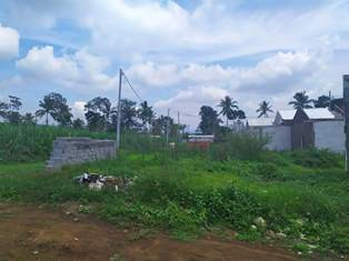 Ular Berkeliaran di Permukiman Warga