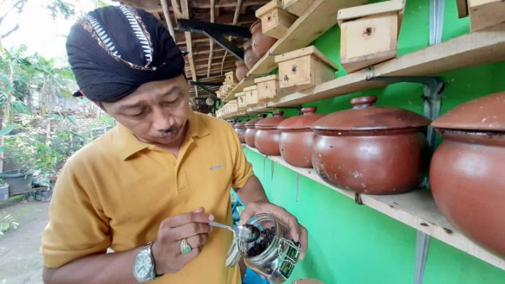 Kisah Pembudi Daya Lebah Klanceng dari Pintu Rumah