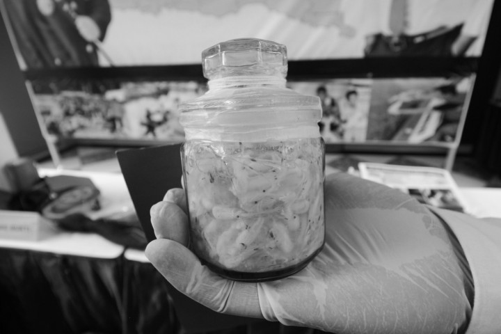 Jalan Tengah Polemik Lobster Ala Menteri Edhy