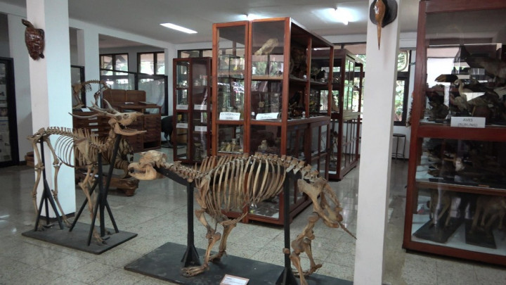 Mengenal Museum Zoologi ITB Jatinangor