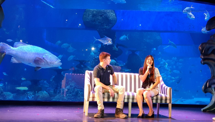 Libur Nataru, Jakarta Aquarium Kedatangan Satwa Baru