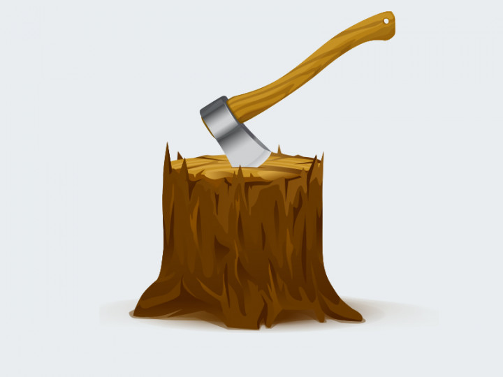 Kawasan Hutan Lindung di Sumsel Marak <i>Illegal Logging</i>