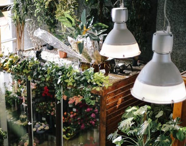 Cara Manfaatkan Lampu Smart LED