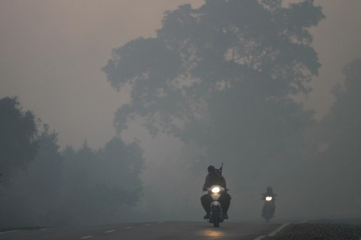 Kaleidoskop 2019: Kebakaran Sempat Memanaskan Indonesia