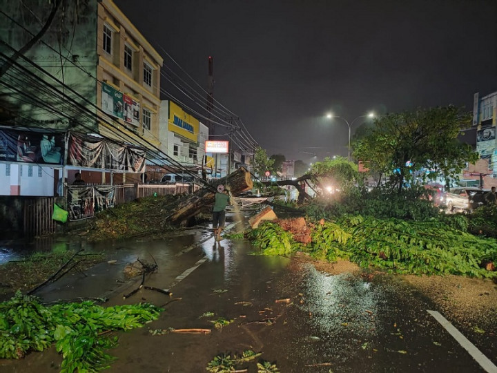 Puluhan Pohon Tumbang di Palembang