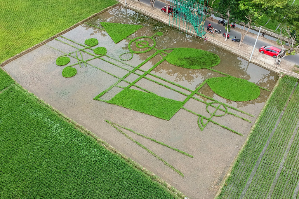 Unik, Hamparan Sawah di Gorontalo Berbentuk Not Balok