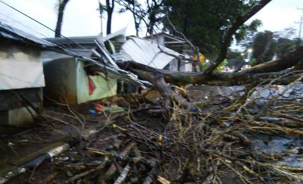 Pohon tumbang menutup akses jalan Jepara-Pati. (Foto: Istimewa)