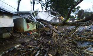 Pohon Tumbang Timpa Rumah Warga dan Tutup Akses Jalan