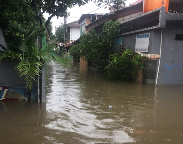 Waspada Bahaya Penyakit Leptospirosis saat Banjir