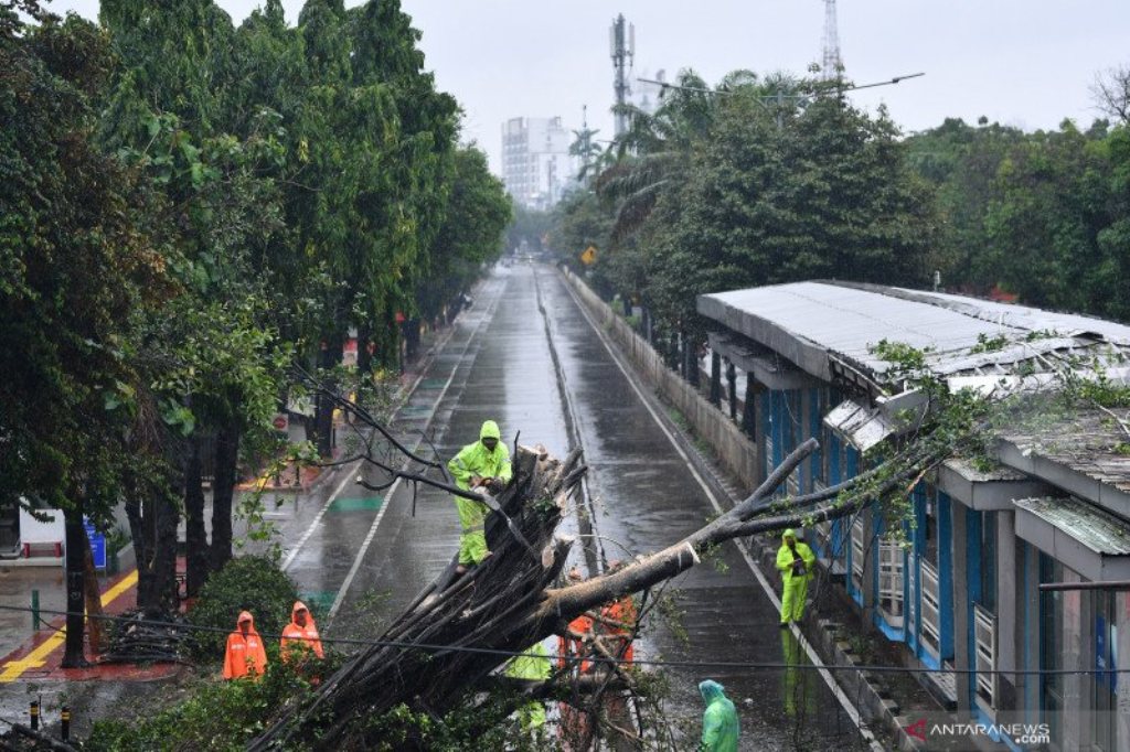 Petugas dari Suku Dinas Kehutanan Jakarta Selatan mengevakuasi pohon yang roboh di Halte TransJakarta Koridor SMK 57,Jakarta Selatan, Rabu (1/1/2020). Foto: Antara/Sigid Kurniawan