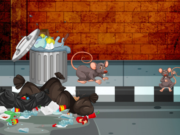 Waspadai Bahaya Leptospirosis