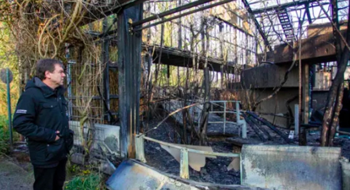Kebakaran Kebun Binatang Jerman, Tiga Wanita Menyerahkan Diri