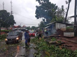Pohon Tumbang Tutup Jalan Antarkabupaten