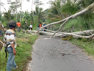 Dana Darurat Bencana Kabupaten Sleman Rp5,74 Miliar