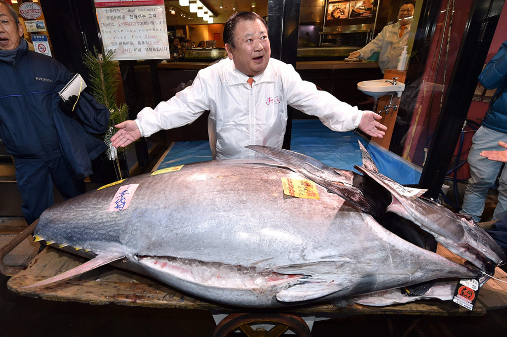 'King Tuna' Jepang Beli Tangkapan Tahun Baru Senilai Rp25 M