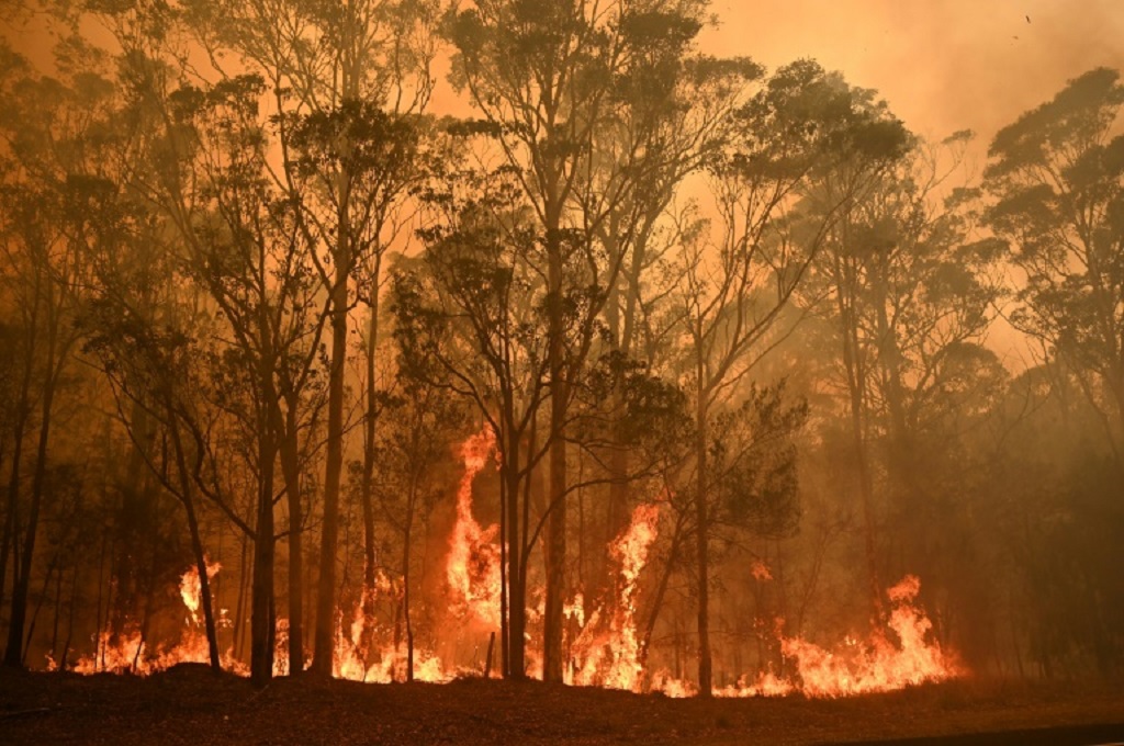 Kebakaran hutan di Australia telah berkobar sejak September 2019. Foto: AFP.