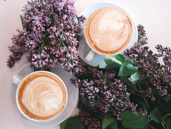 Bunga Lilac, Si Ratu Semak