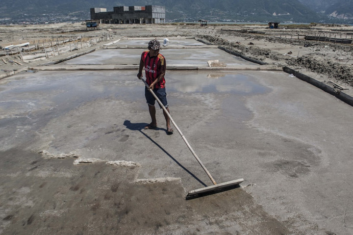 Indonesia Terpaksa Masih Impor Garam dan Gula