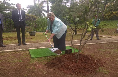 Resmikan Misi ASEAN, Menteri Inggris Tanam Jeruk Bali