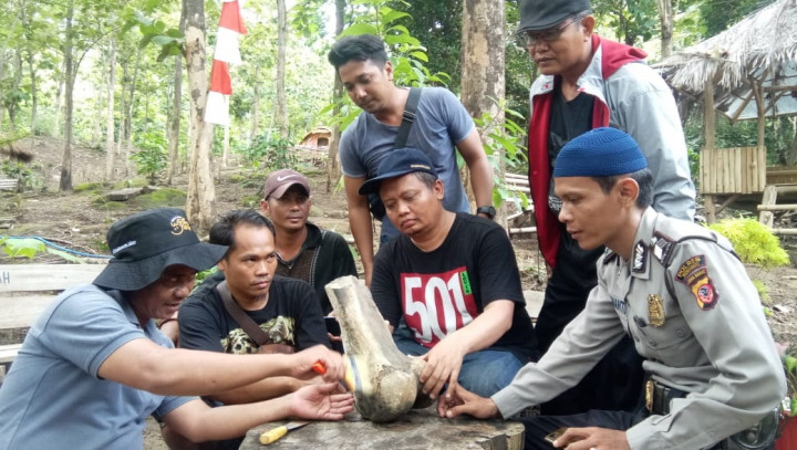 Fosil Gajah Purba Dijadikan Tungku Bakar