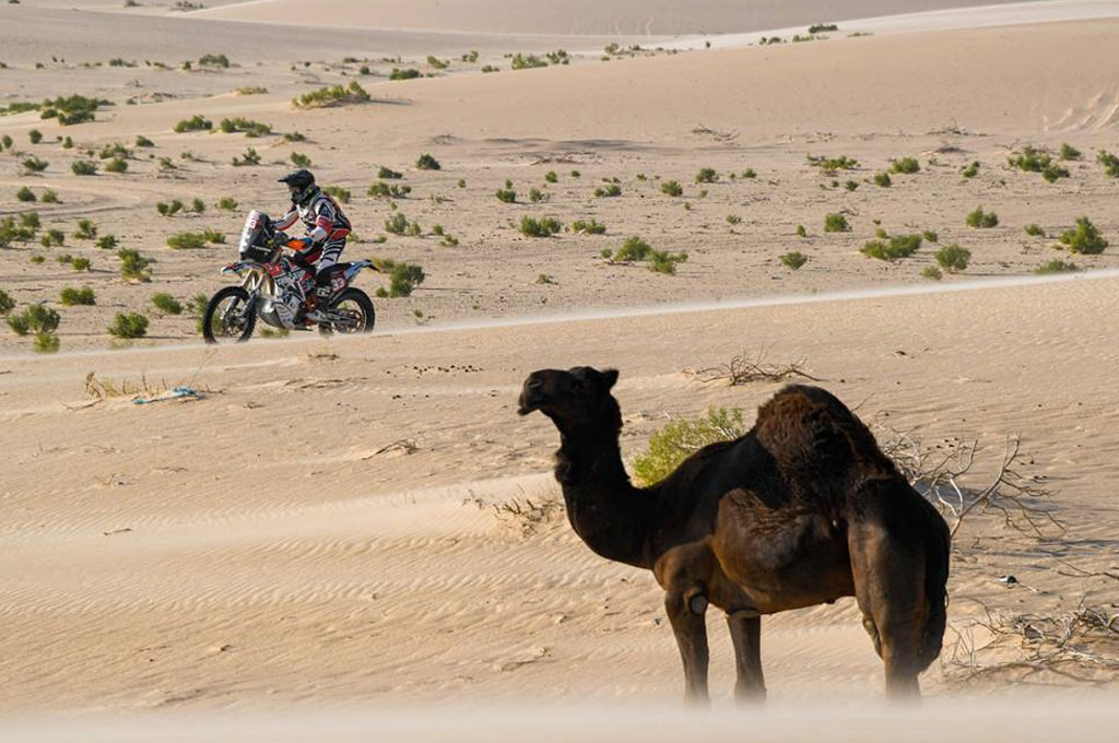 Etape-10 Dakar Rally. Dakar