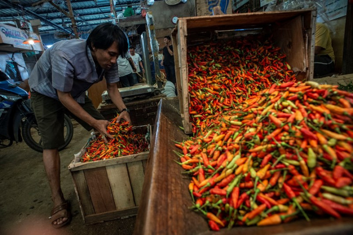 Cabai Rawit Merah di Indramayu Mencapai Rp90 Ribu/Kg