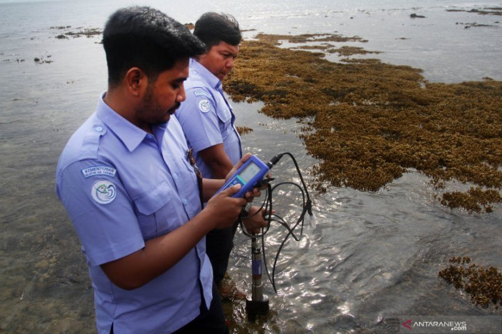 Suhu Terhangat Permukaan Laut Capai Rekor Tertinggi
