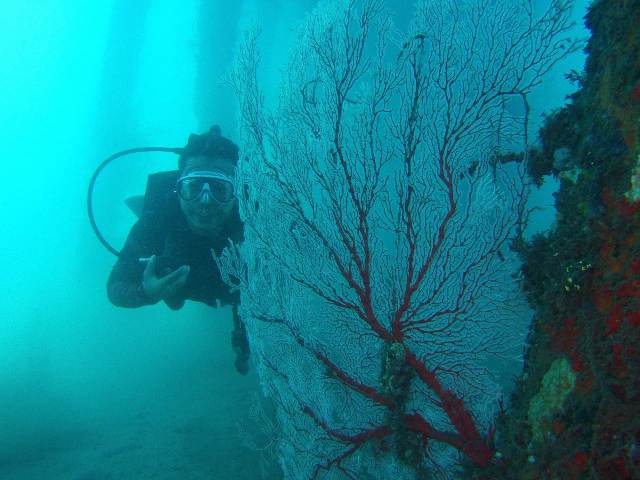 Wisata Bawah Laut Pulau Abang Mulai Dilirik Wisatawan