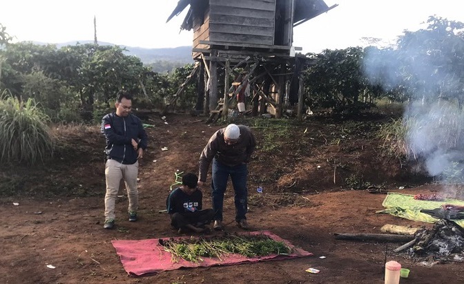 Polisi Temukan Tiga Hektare Ladang Ganja di Pagar Alam