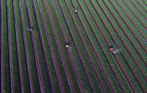 Kementan: KPK Sudah Awasi Alih Fungsi Lahan