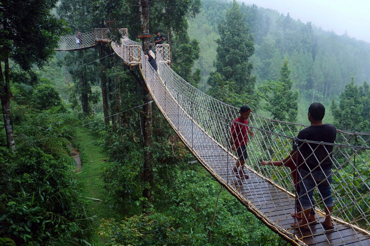 Berwisata ke Forest Bridge di Kabupaten Batang
