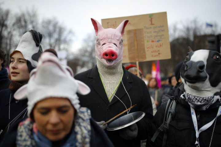 Petani Jerman dan Irlandia Luapkan Kemarahan ke Uni Eropa