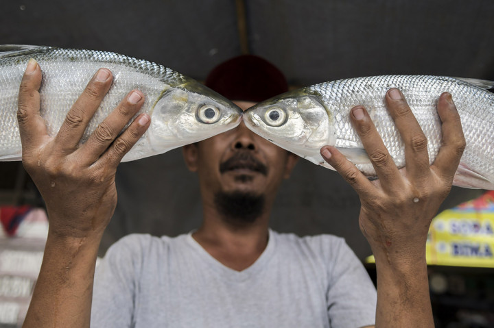 Jelang Imlek, Penjual Bandeng Menjamur di Rawa Belong